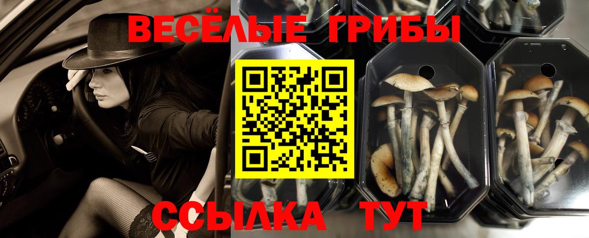 ГАШ  Экстази  Каннабис  Меф   Краснокамск  Кокаин  ГАШ  МЕФ  Вход с VPN 
