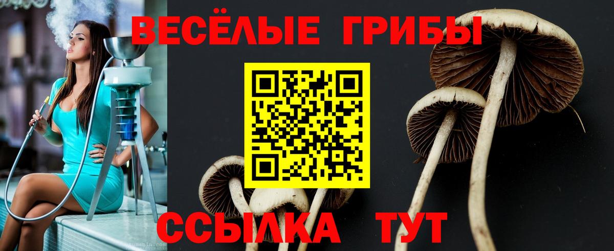 Галлюциногенные грибы Cubensis  Вход с VPN  Краснокамск 